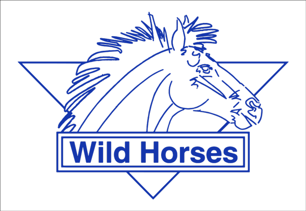 Show Horse Tack